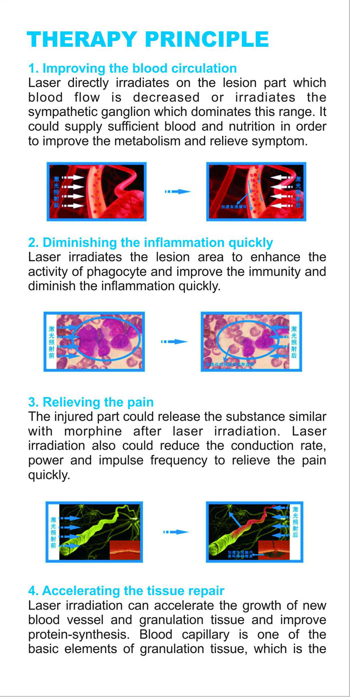 Most pratical convenience Handheld Pain relief Instrument
