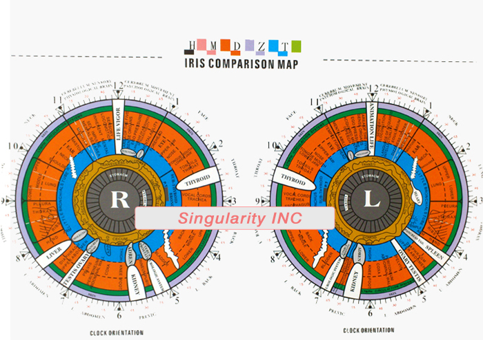 3 in 1 Iriscope+Skin Analyzer+Hair Analyzer,5.0MP High Resolution