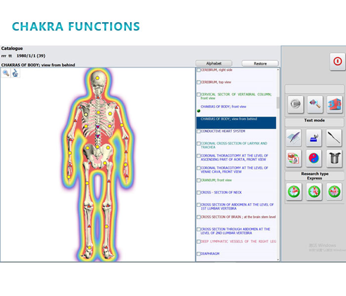 Bio resonance scan  newest device Meta-hunter