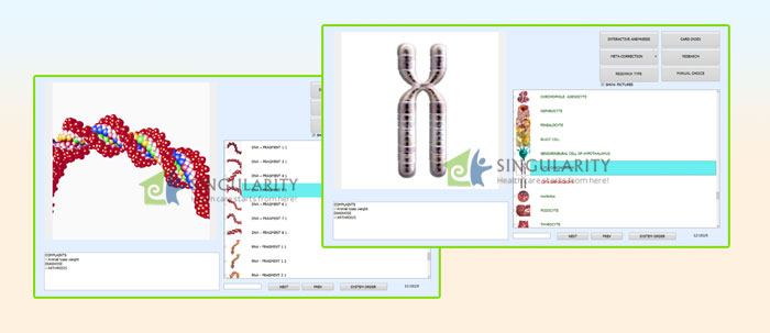 Biophilia Guardian for dog Bioresonance Machine