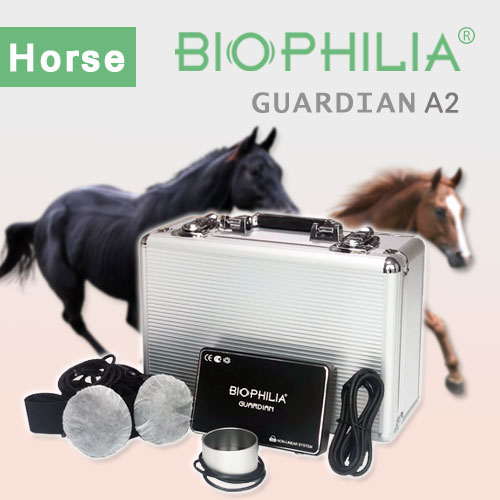 Biophilia Guardian A2 Bioresonance Machine horse/dog/cats