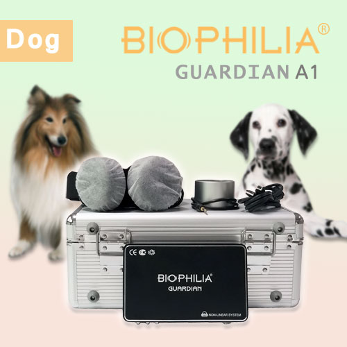Biophilia Guardian for dog Bioresonance Machine